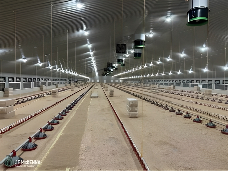 Dairy Shed